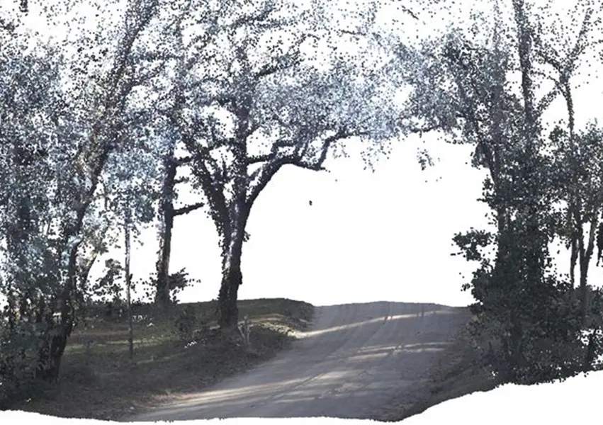 Cardinia 1